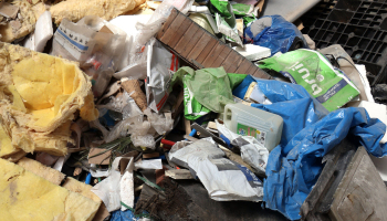 IMG_1263_Web_Portrait